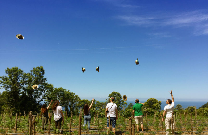 Be rural be happy!, Fuscaldo (CS), Giuliana Scofano