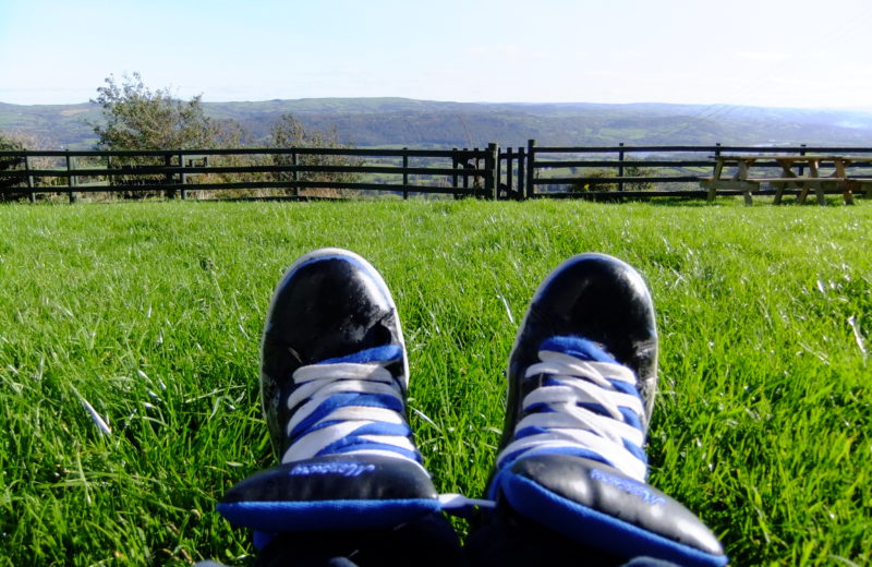 Foto di Eric Audige-Soutter, “view from the garden” da Flickr (licenza CC BY 2.0)