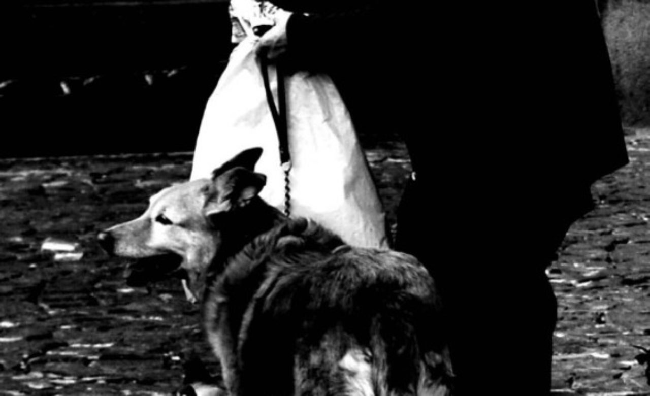 Alessandra Mai, Il buio della fame, Napoli