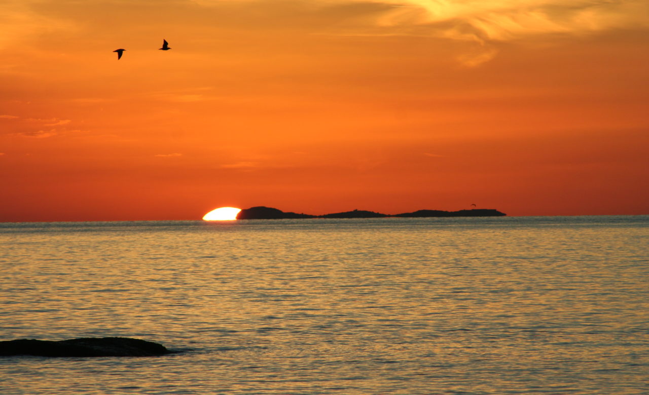 Andrea Materni, tramonti unici, Ischia