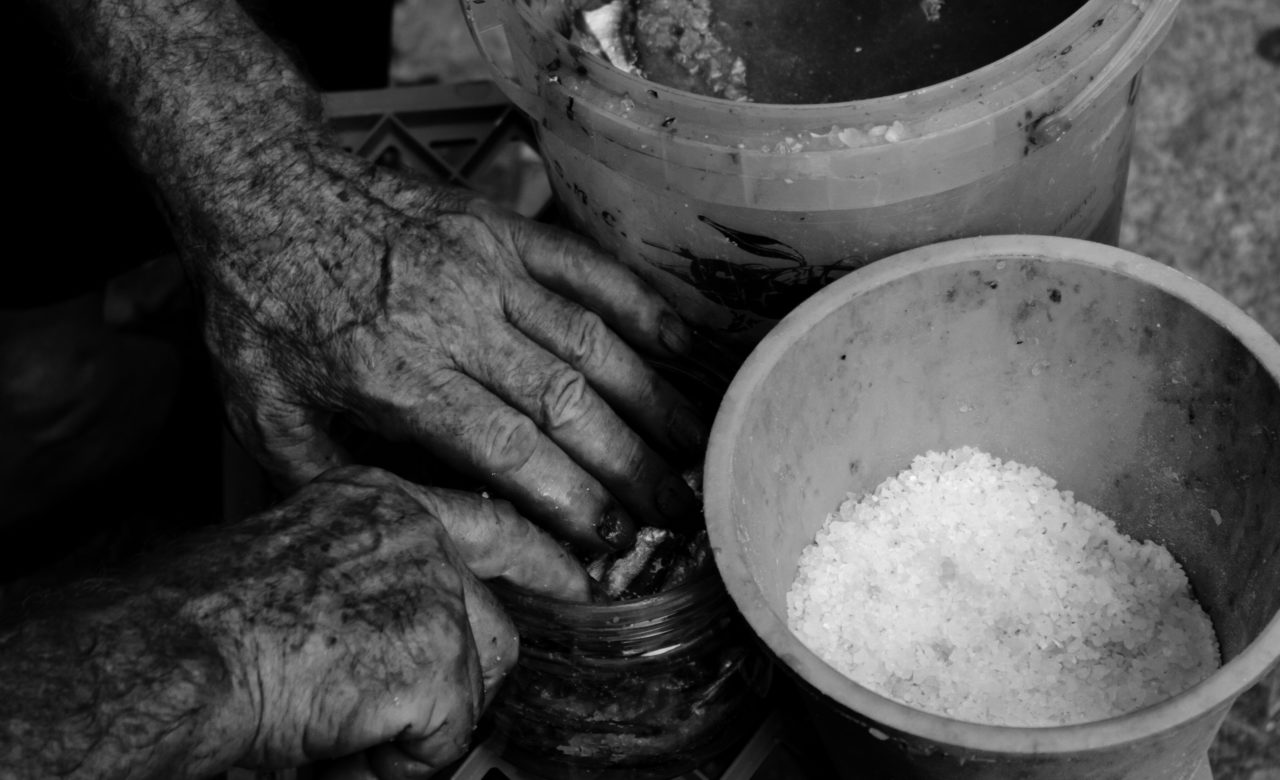Anna Izzo, Lavorazione delle alici alla vecchia maniera, Salerno