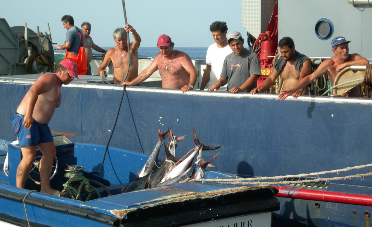 Cristina Lelli, La pesca, Isole Eolie (ME)
