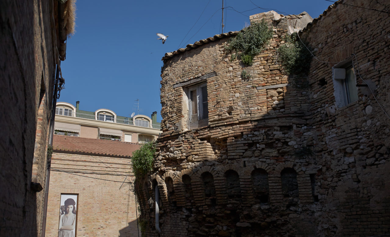 I tesori di Vasto la Torre del Moro, Federico Dessardo