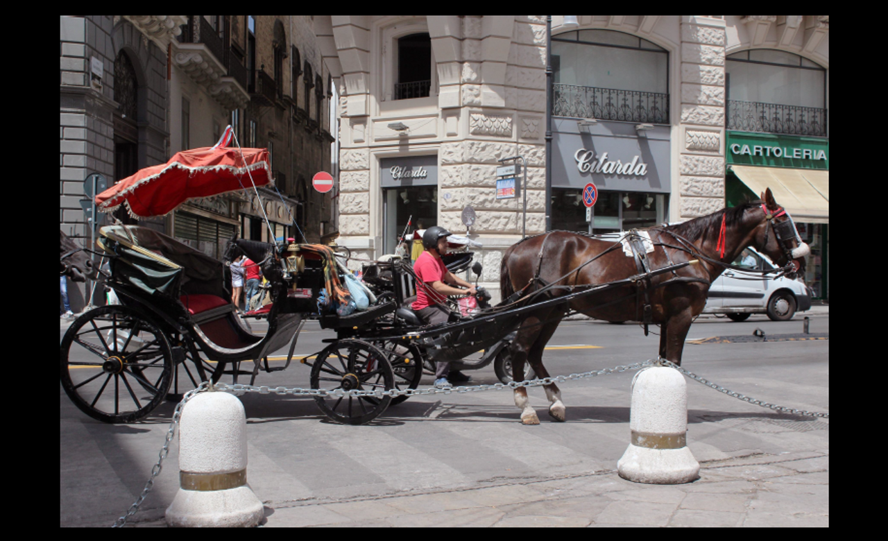 Il carretto, Palermo, Denise Siracusa