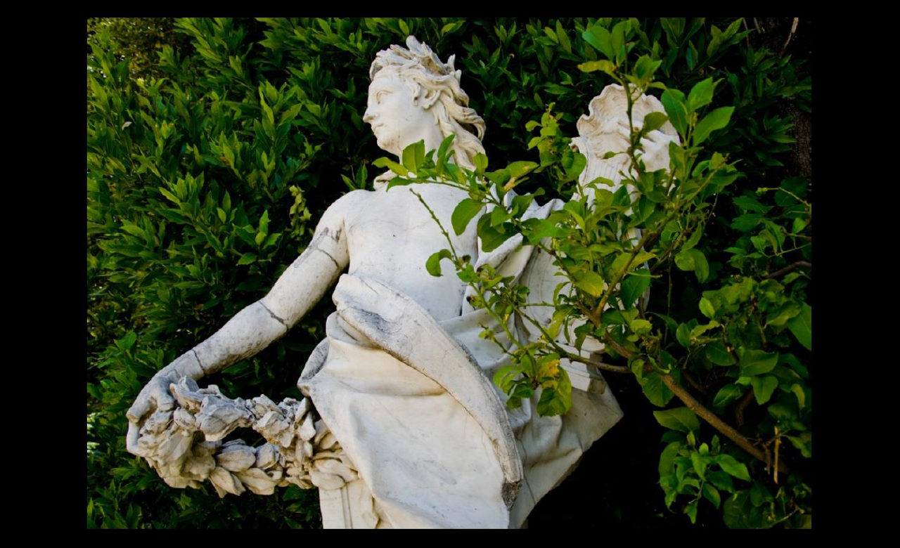La reggia di Caserta, Massimo Frasson
