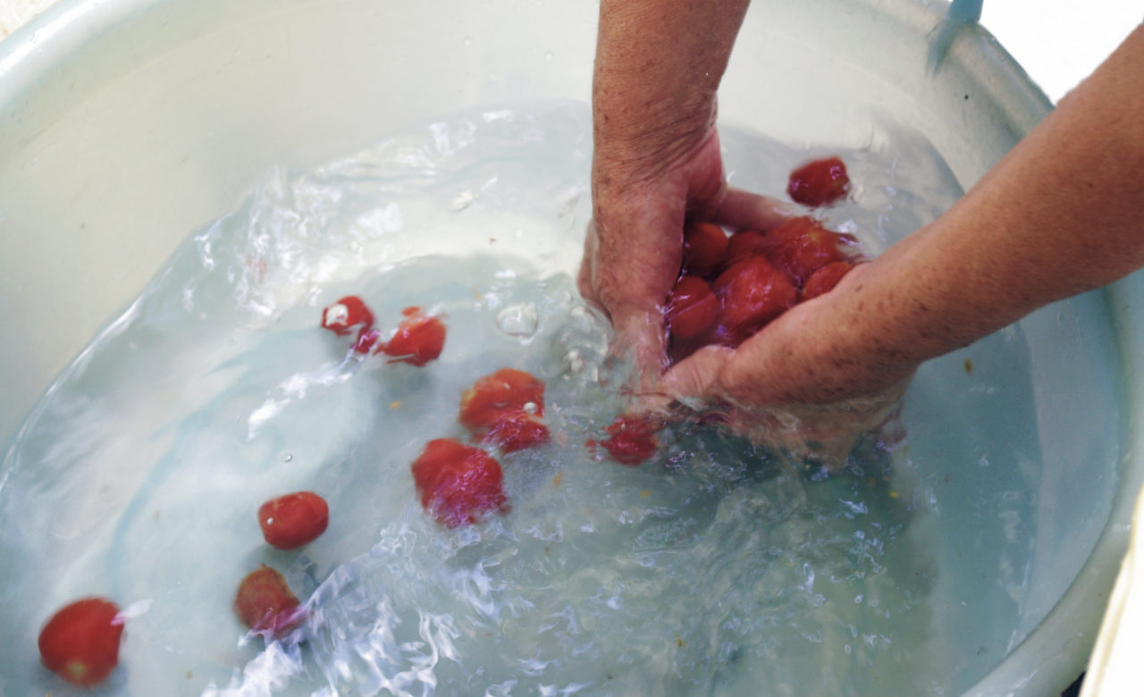 Marilena Norato, Le tradizioni, i sapori contadini, il biologico, lo stare insieme, pomodori, Sant’Angelo d’Alife (CE)