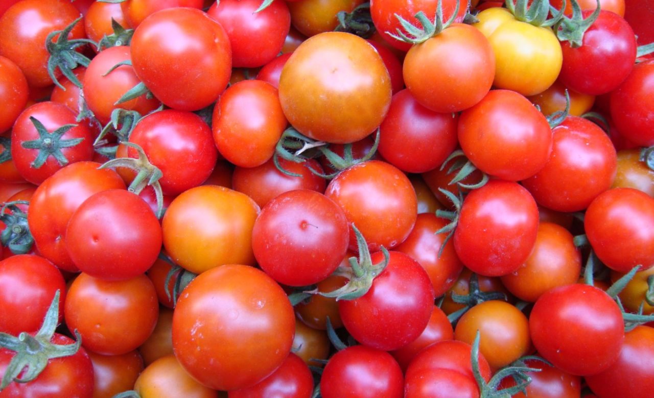 NATURA_Cibo per il corpo e per la mente_Antonio Pecorella