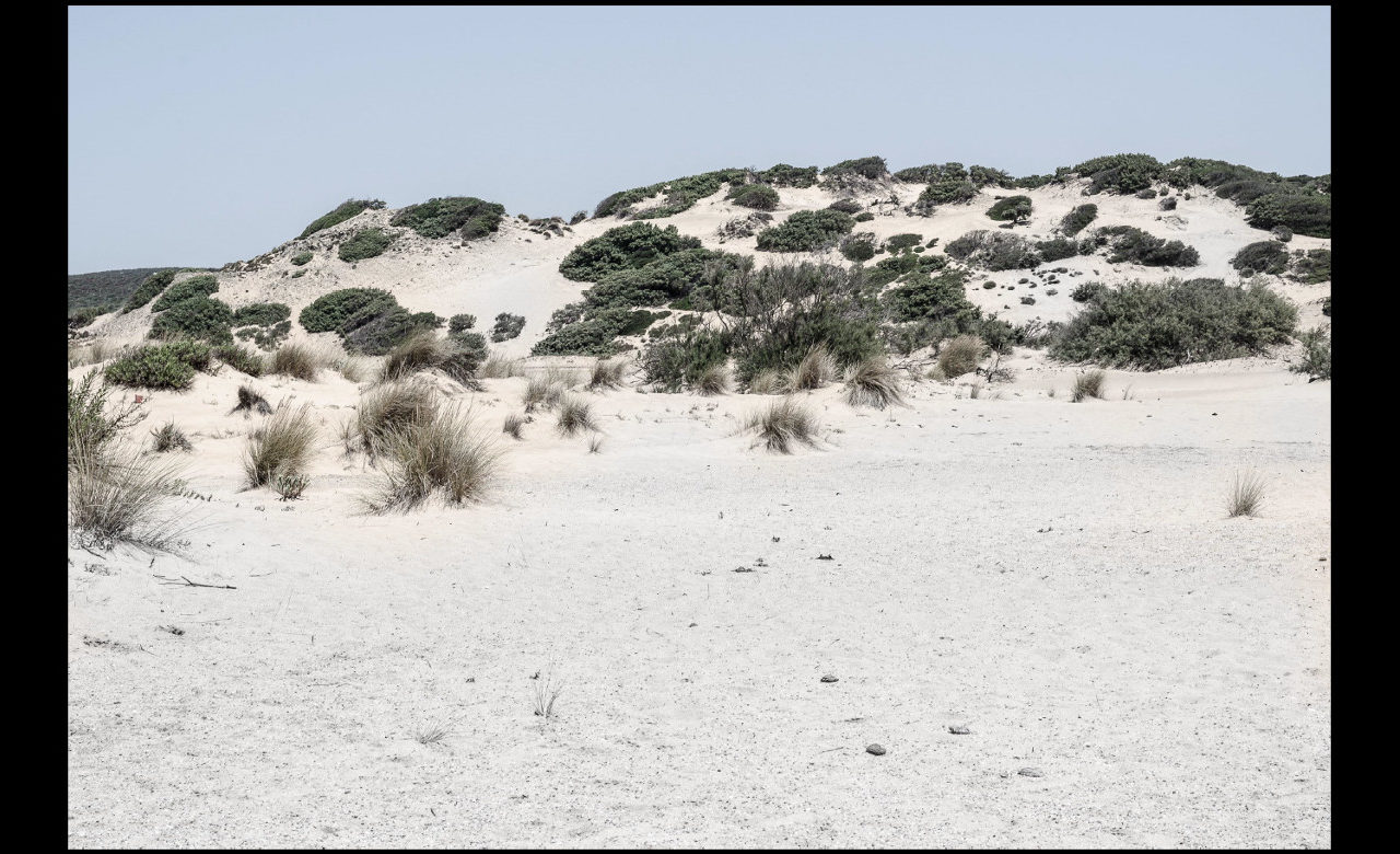 Piscinas, Arbus (VS), Giulio Gigante