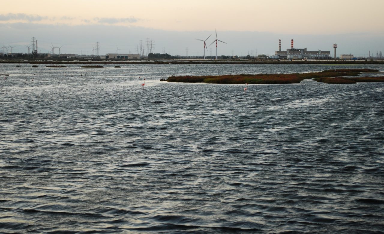 SOSTENIBILITA’_Energia sostenibile, Cagliari_Elisa D’Arrigo