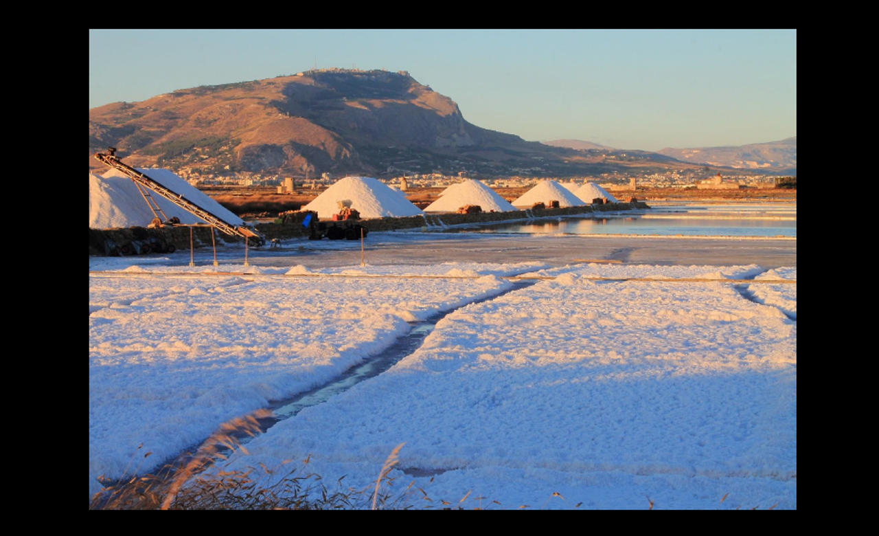 Saline di Trapani, Irene BambI