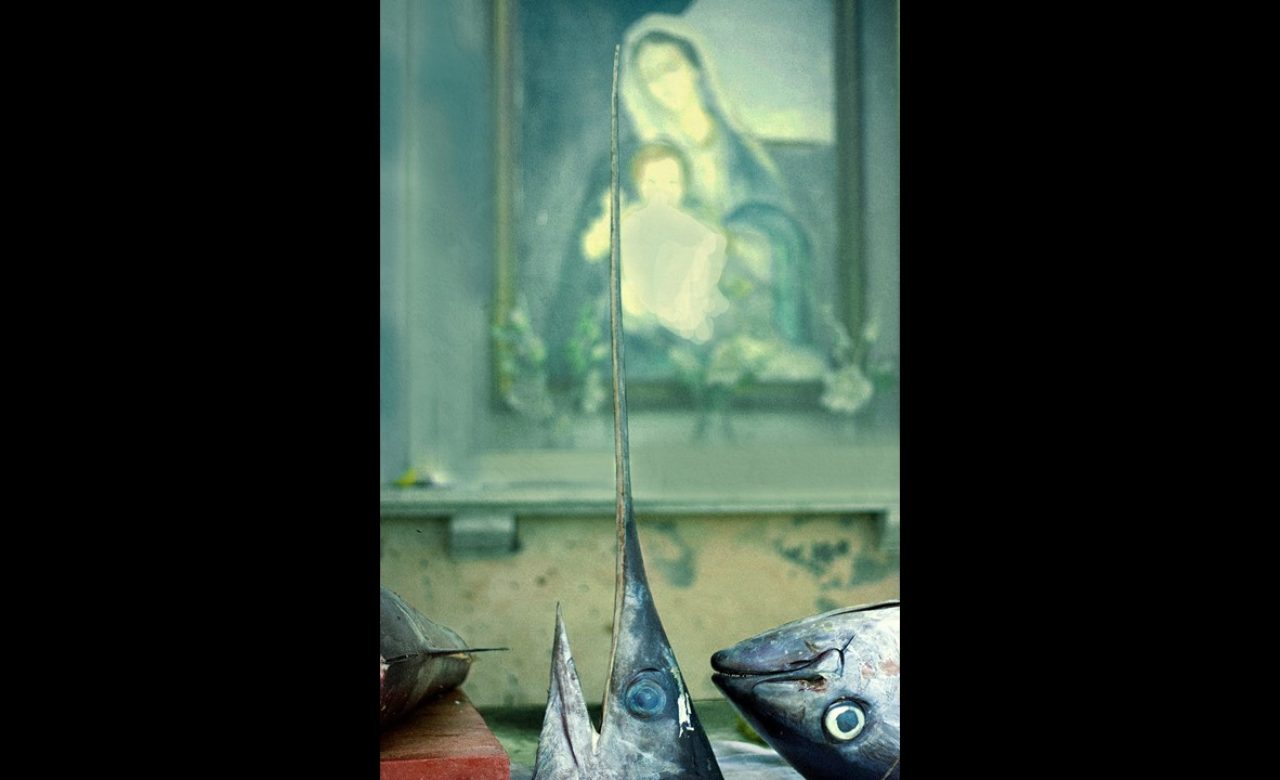 Senza titolo, Fondachello (CT), Silvia Rosati
