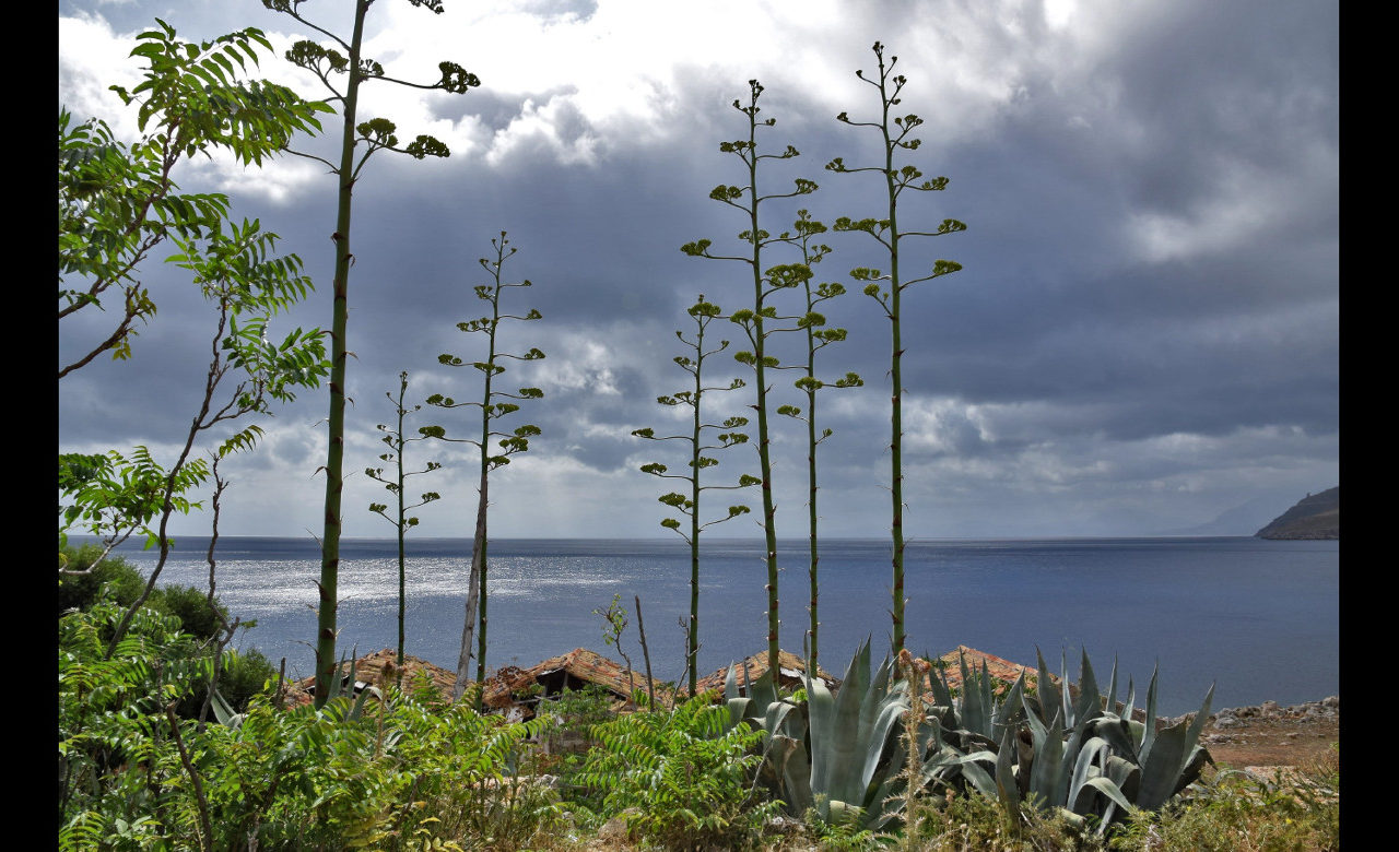 Tonnara del Secco, San Vito Lo Capo (TP), Carlo Silva