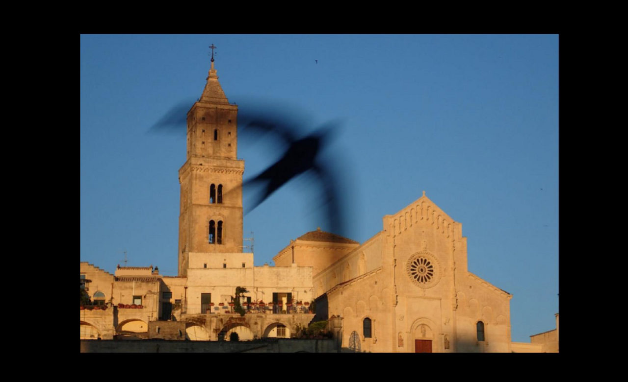 Una rondine può fare, Matera, Marco Oberosler