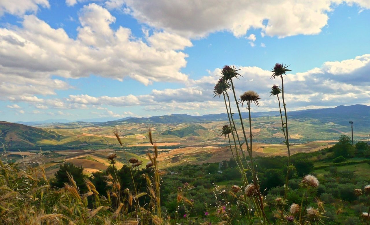 Erminia Viccaro, Vista da Grassano sulla Basentana, Grassano (MT)