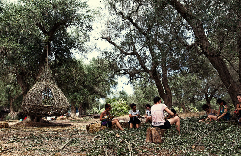 Un gruppo di partecipanti a un workshop si accinge a realizzare i due progetti vincitori. Pulitura dei rami di ulivo prima dell'intreccio. Foto di Francesco Buccarelli (VHS)