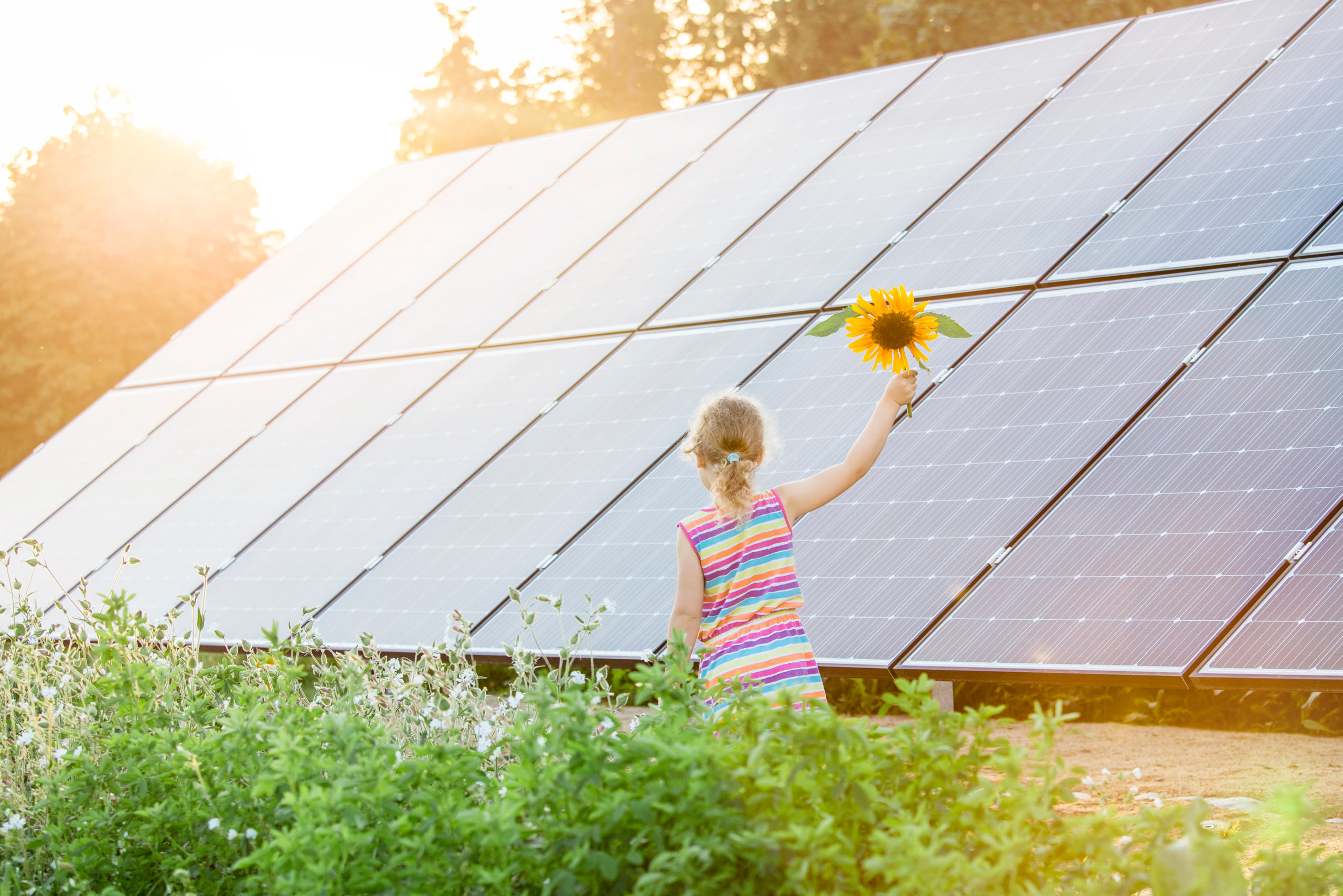 PRIMO BANDO PER LE COMUNITA ENERGETICHE E SOCIALI AL SUD 