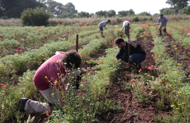 Foto dal progetto "Utilità marginale", Lecce