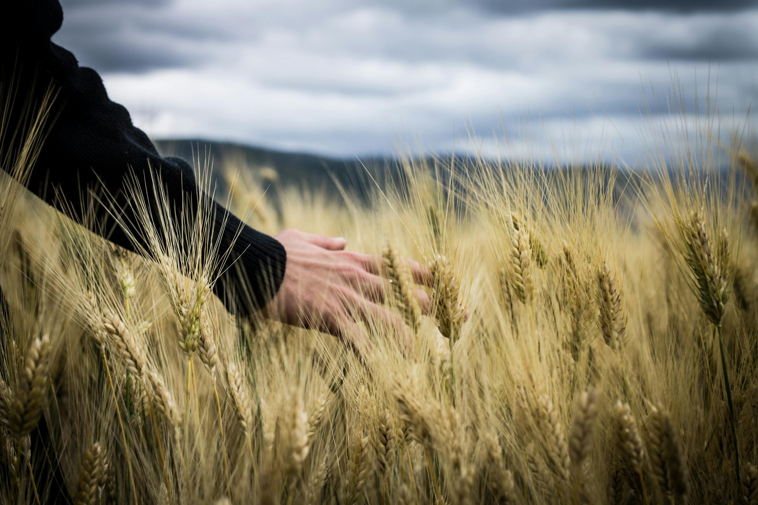 Agricoltura sociale