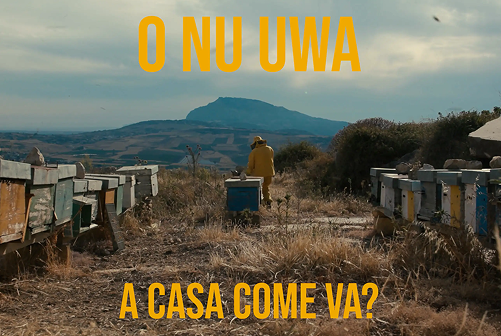 O nu uwa – A casa come va?