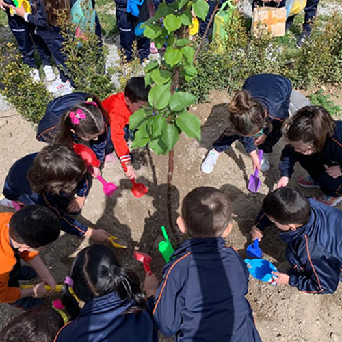 piantumazione bimbi